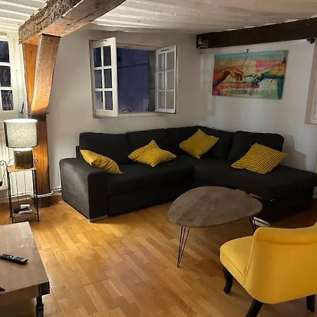 Trop Chouette Au Centre De Apartament *