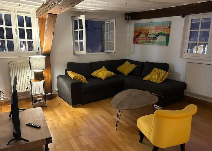 Trop Chouette Au Centre De Apartament *