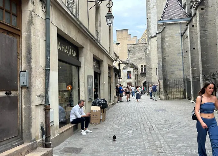 Trop Chouette Au Centre De * ディジョン